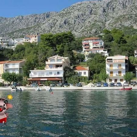 Riva Apartments Živogošće Dış mekan fotoğraf