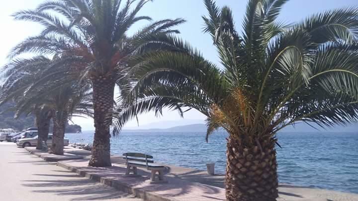 Riva Apartments Živogošće Dış mekan fotoğraf